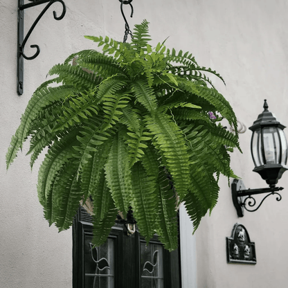 Last Day 75% OFF - UV Resistant Lifelike Artificial Boston Fern - ADFIRE
