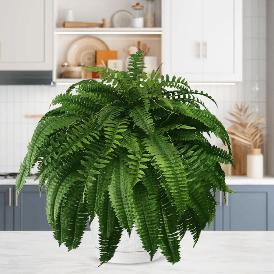 Last Day 75% OFF - UV Resistant Lifelike Artificial Boston Fern - ADFIRE