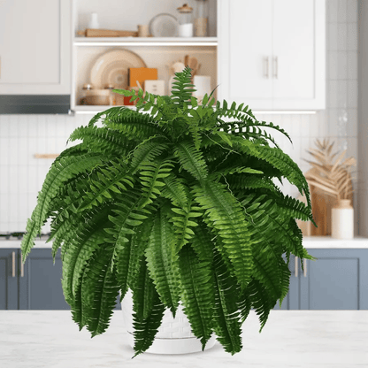 Last Day 75% OFF - UV Resistant Lifelike Artificial Boston Fern - ADFIRE
