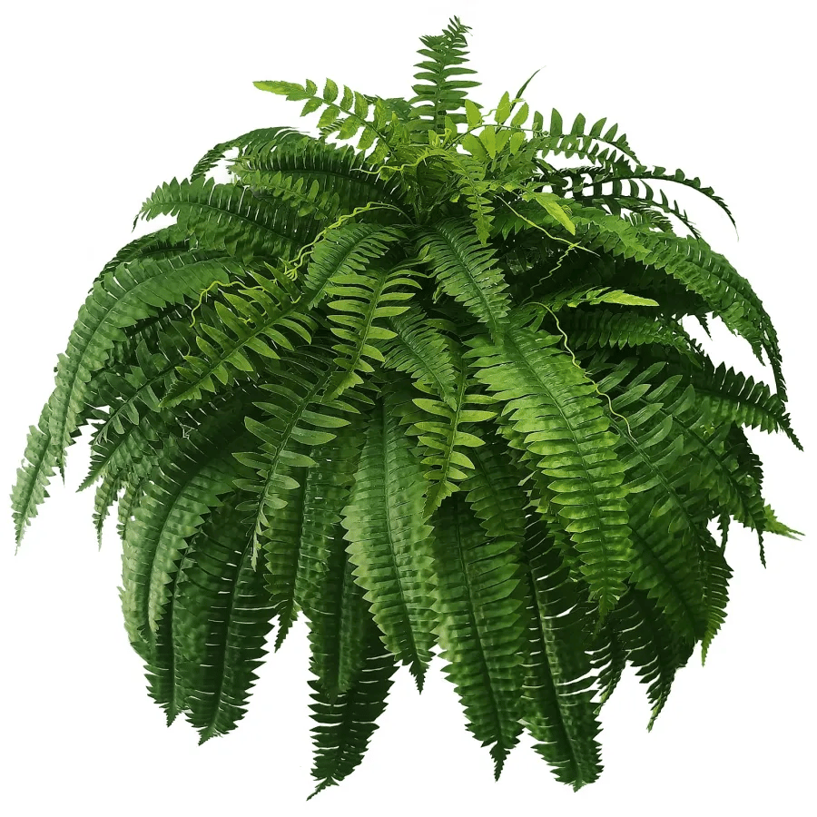 Last Day 75% OFF - UV Resistant Lifelike Artificial Boston Fern - ADFIRE